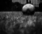 wp10401020.jpg
